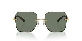Michael Kors Sunglasses MK1150
