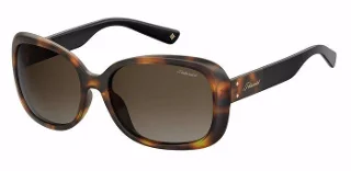 Polaroid Sunglasses PLD 4069/G/S/X