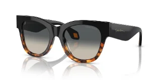 587519 Black/Yellow Havana