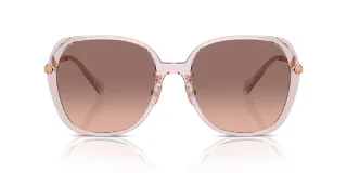 Coach Sunglasses HC8403D