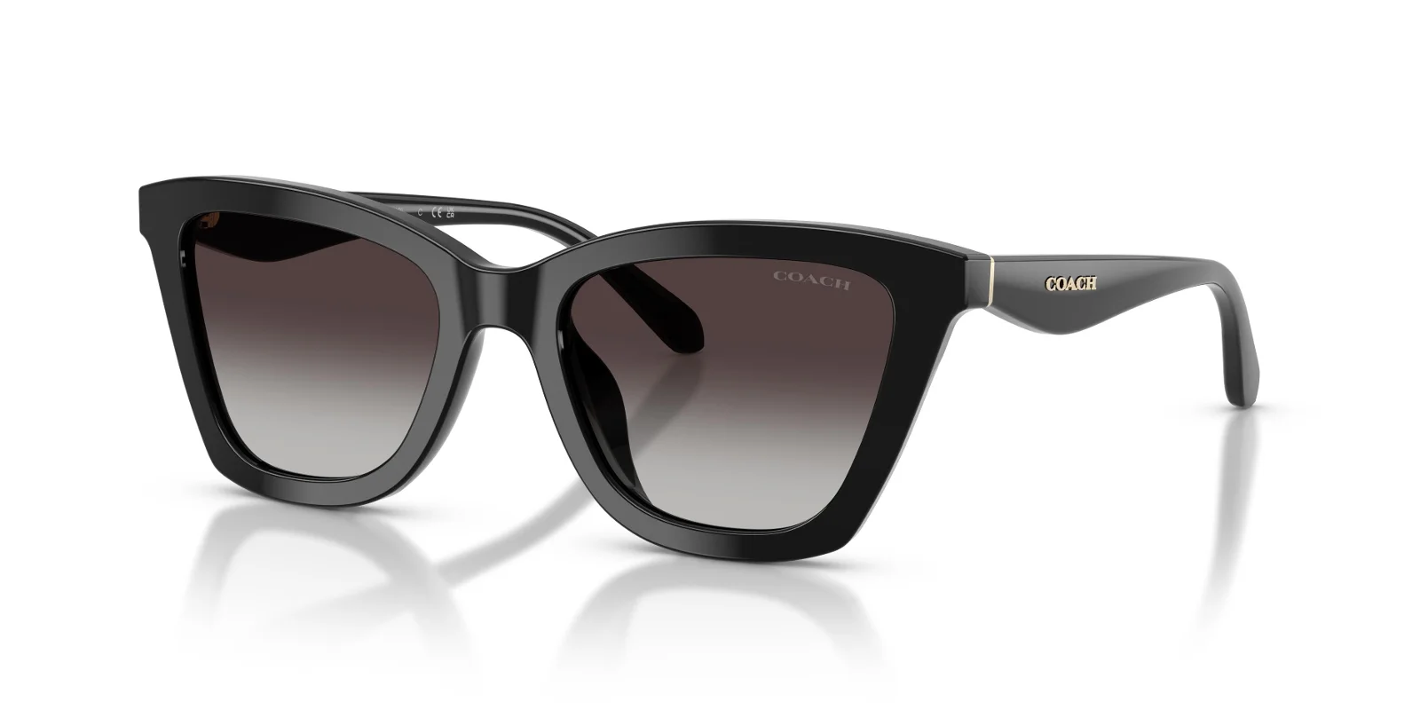 Coach Sunglasses HC8464U