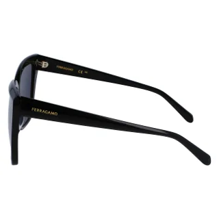 Salvatore Ferragamo Sunglasses SF1102S