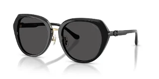 Coach Sunglasses HC8436