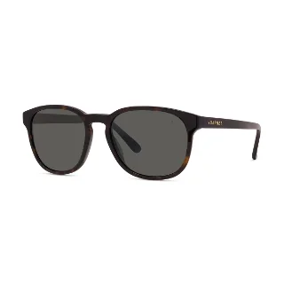 52D Shiny Havana With Grey Polarlynx Lenses