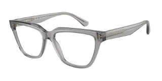 5029 Shiny Transparent Grey