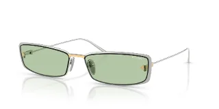 1BC61C Silver