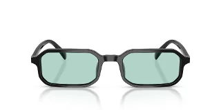 Emporio Armani Sunglasses EA4253U
