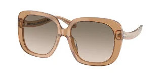 565413 Transparent Brown