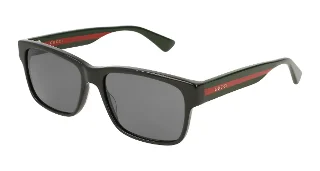 Gucci Sunglasses GG0340S
