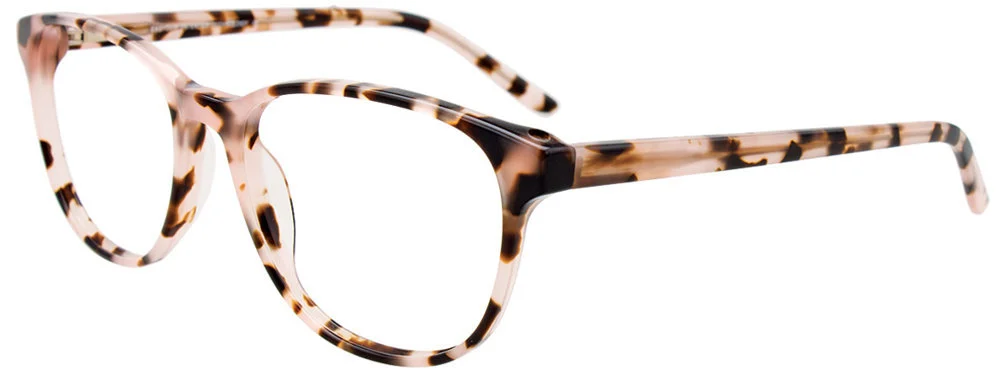 Easyclip Eyeglasses EC490