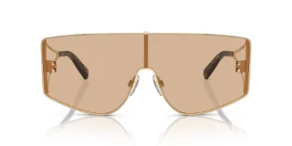 Dolce & Gabbana Sunglasses DG2305