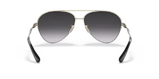 Coach Sunglasses HC7124