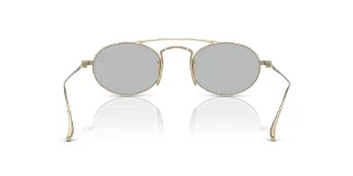 Giorgio Armani Sunglasses AR6161T