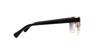 Cole Haan Sunglasses CH7010