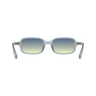 Longchamp Sunglasses LO818S
