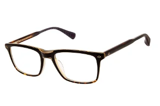 Ted Baker Eyeglasses TLM009
