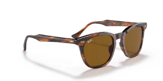 Ray Ban Sunglasses RB2298