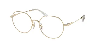 9005 Shiny Light Gold