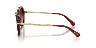 Swarovski Sunglasses SK6040F
