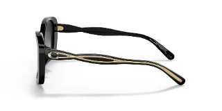 Coach Sunglasses HC8334U