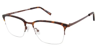 C01 Tortoise