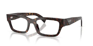 17N1O1 Root Tortoise