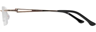 Alan J Eyeglasses CDA-440