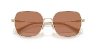 Coach Sunglasses HC7180D