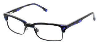 Blue Tortoise