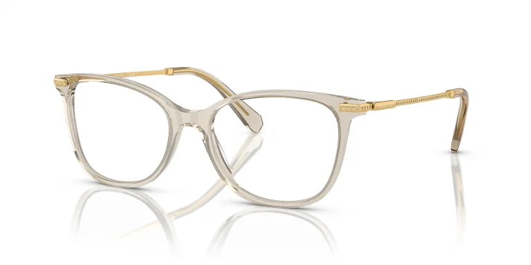 Swarovski Eyeglasses SK2010