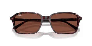Ray Ban Sunglasses RB2231