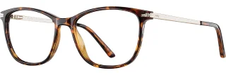 C02 Tortoise/Gold
