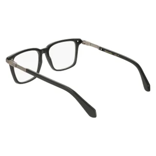 Salvatore Ferragamo Eyeglasses SF3065
