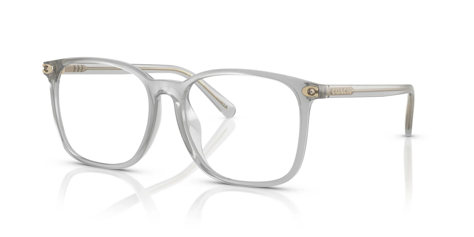 Coach Eyeglasses HC6254BD