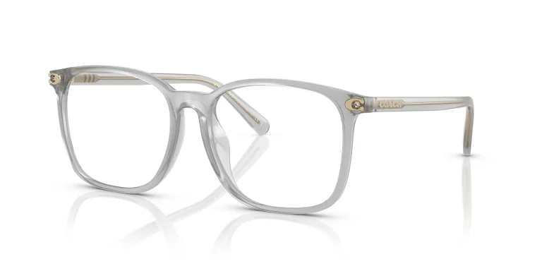 Coach Eyeglasses HC6254BD