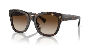 500313 Shiny Dark Havana