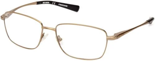 Harley Davidson Eyeglasses HD9023