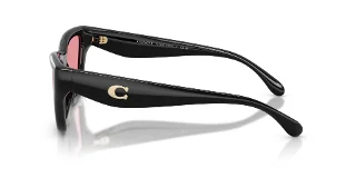 Coach Sunglasses HC8449U