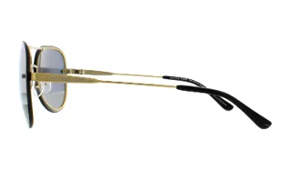 Michael Kors Sunglasses MK1026