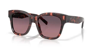 201607 Sunset Tortoise