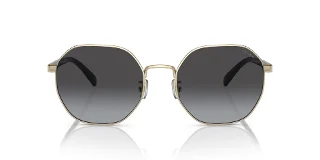 Coach Sunglasses HC7147