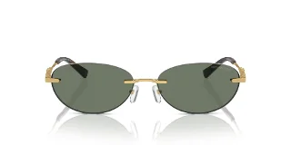 Michael Kors Sunglasses MK1151