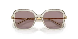 Swarovski Sunglasses SK6040