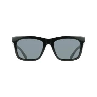 Salvatore Ferragamo Sunglasses SF2113S