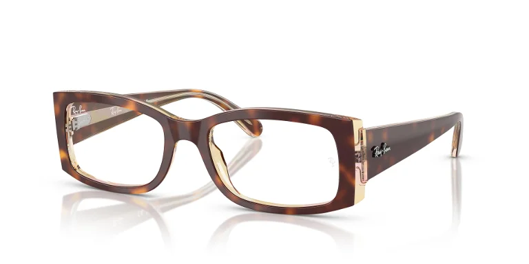 Ray Ban Eyeglasses RX5434
