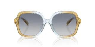 Coach Sunglasses HC8395U