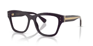 3501 Aubergine