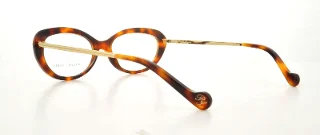Ralph Lauren Eyeglasses RL6076W