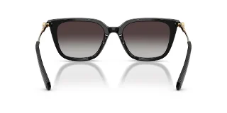 Swarovski Sunglasses SK6054D