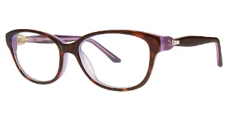 024 Tortoise